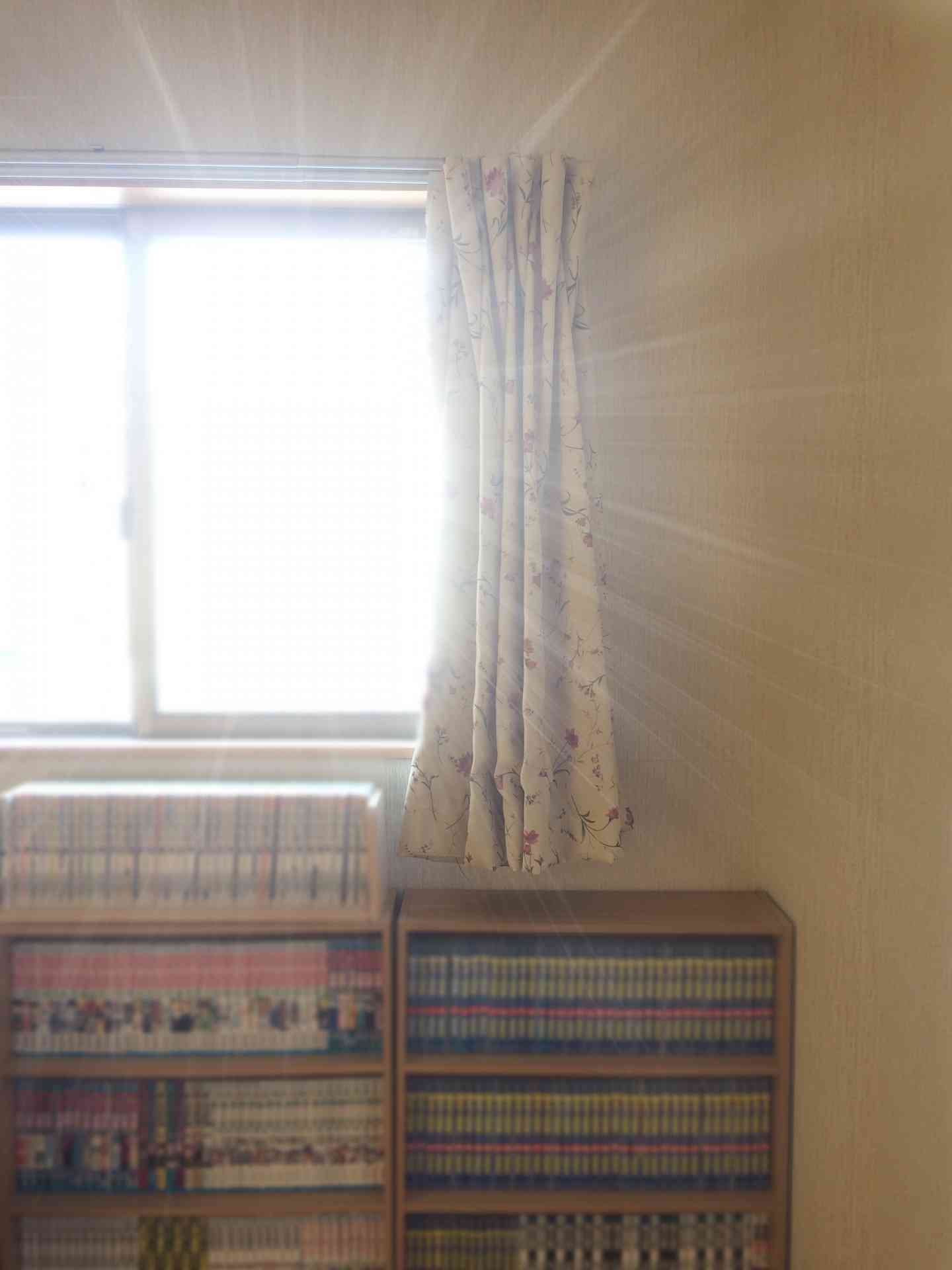 一般的な本棚に漫画本を収納した場合